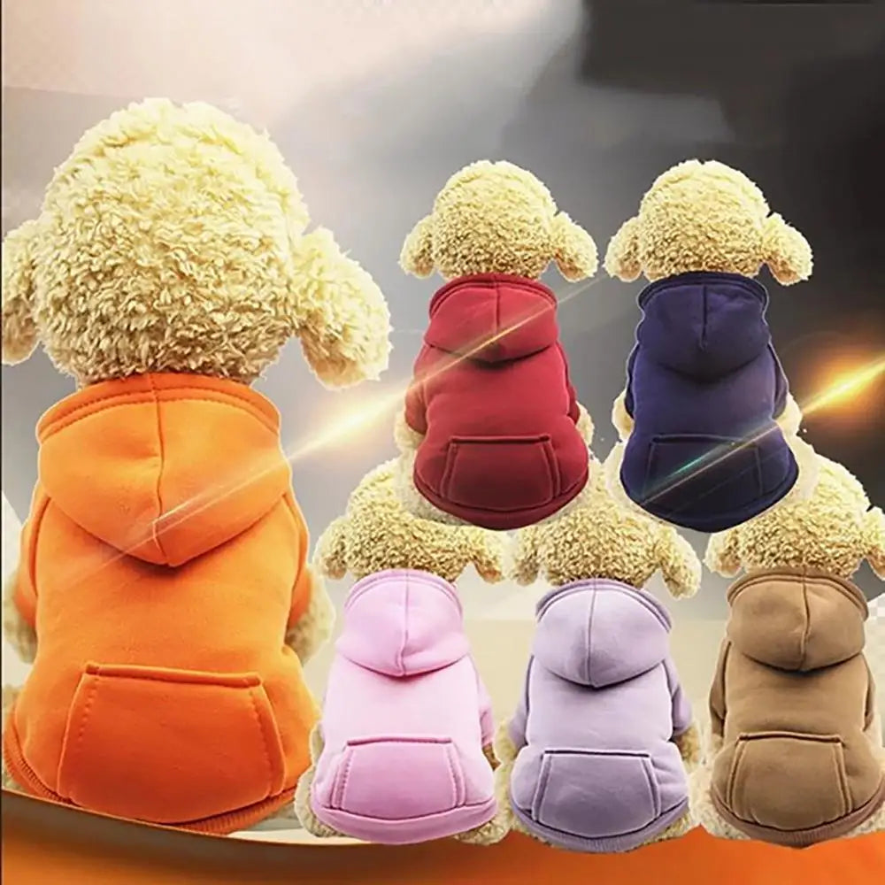 Dog Sweater Puppy Pet Hooded Sweatshirt Autumn Winter Two-legged Pocket Cat Dog Clothes Pet Supplies