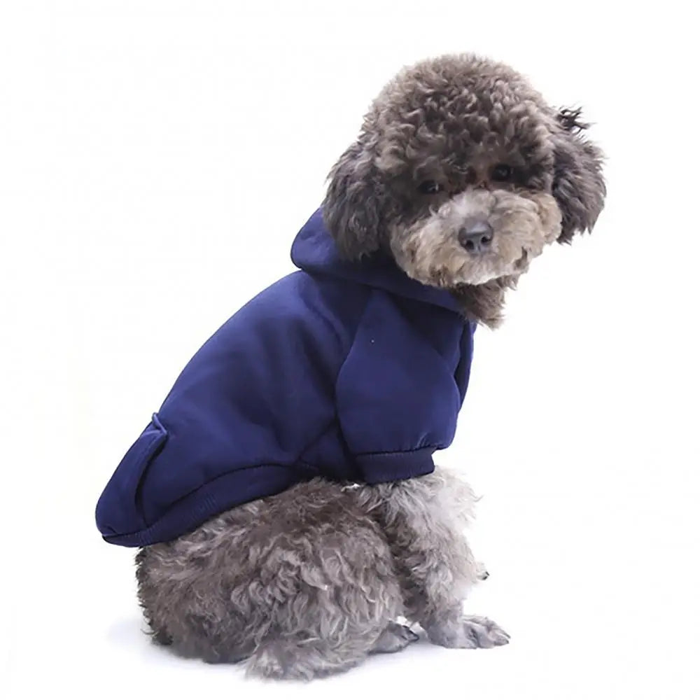 Dog Sweater Puppy Pet Hooded Sweatshirt Autumn Winter Two-legged Pocket Cat Dog Clothes Pet Supplies