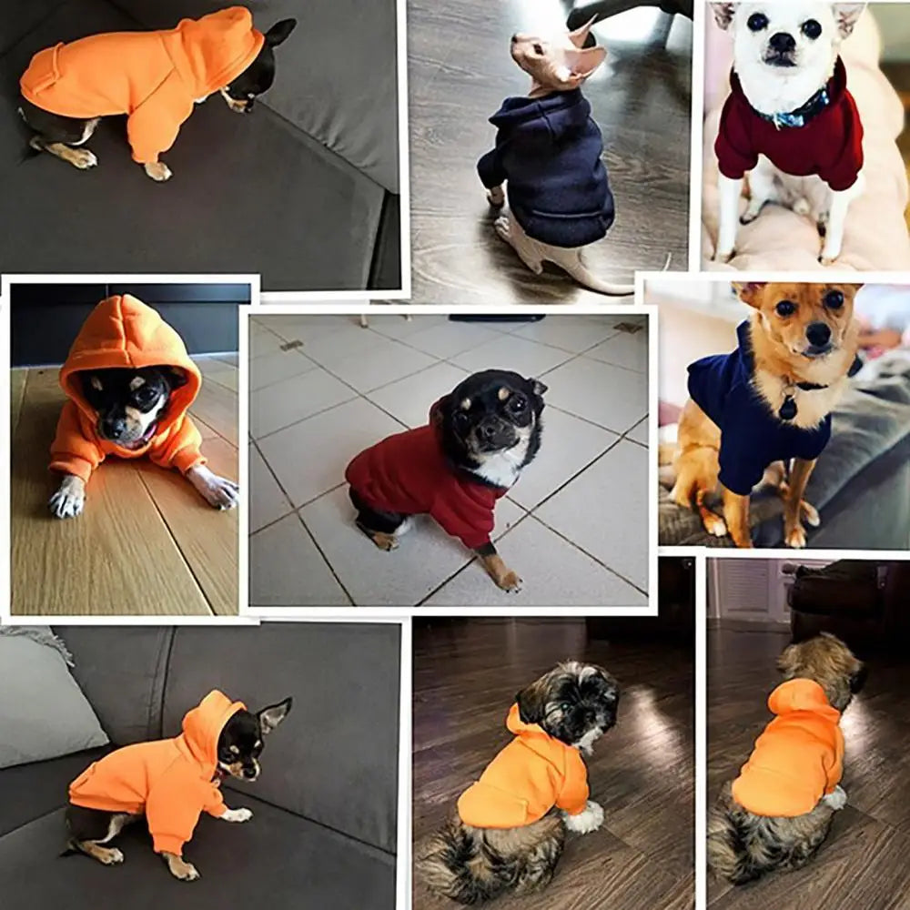 Dog Sweater Puppy Pet Hooded Sweatshirt Autumn Winter Two-legged Pocket Cat Dog Clothes Pet Supplies